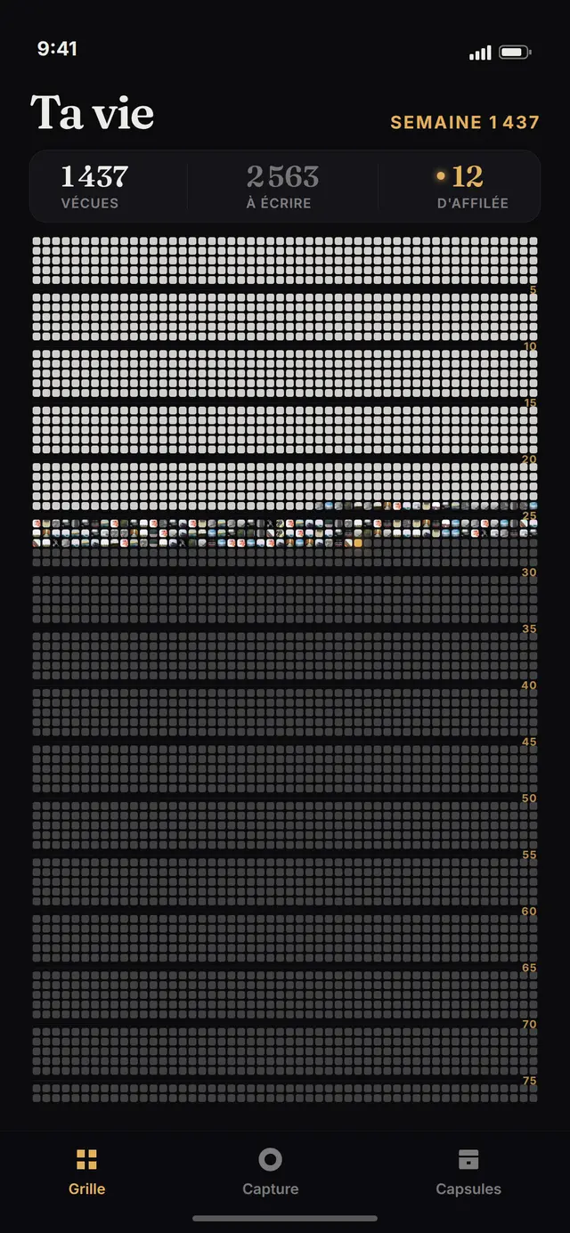 Écran de la grille de vie dans 4000 : 1 437 semaines vécues, une bande de cases remplies de photos